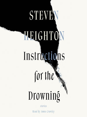 cover image of Instructions for the Drowning